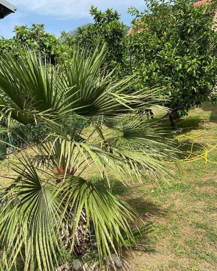 Apartmani Zelenika Herceg Novi Esterno foto
