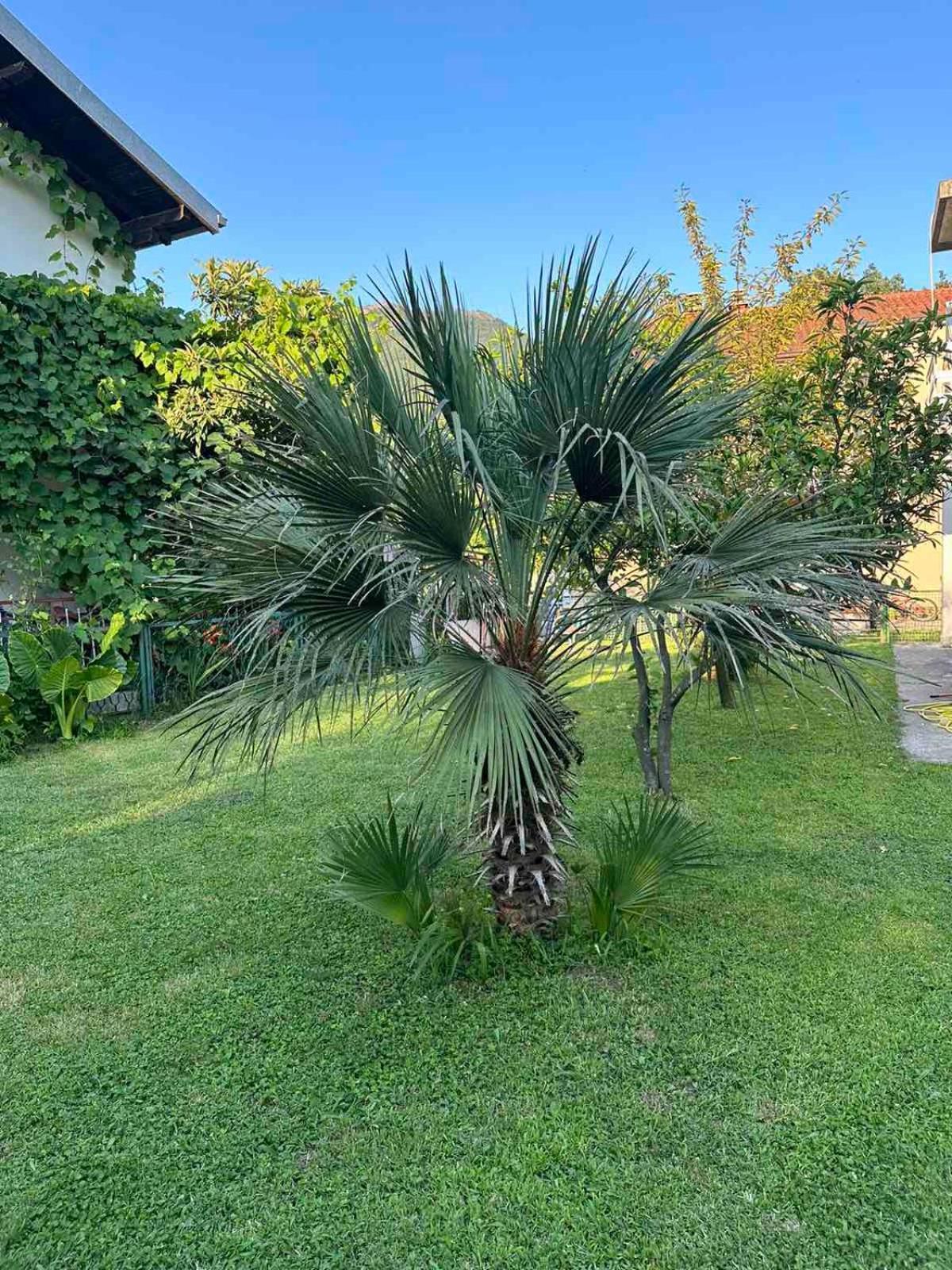 Apartmani Zelenika Herceg Novi Esterno foto