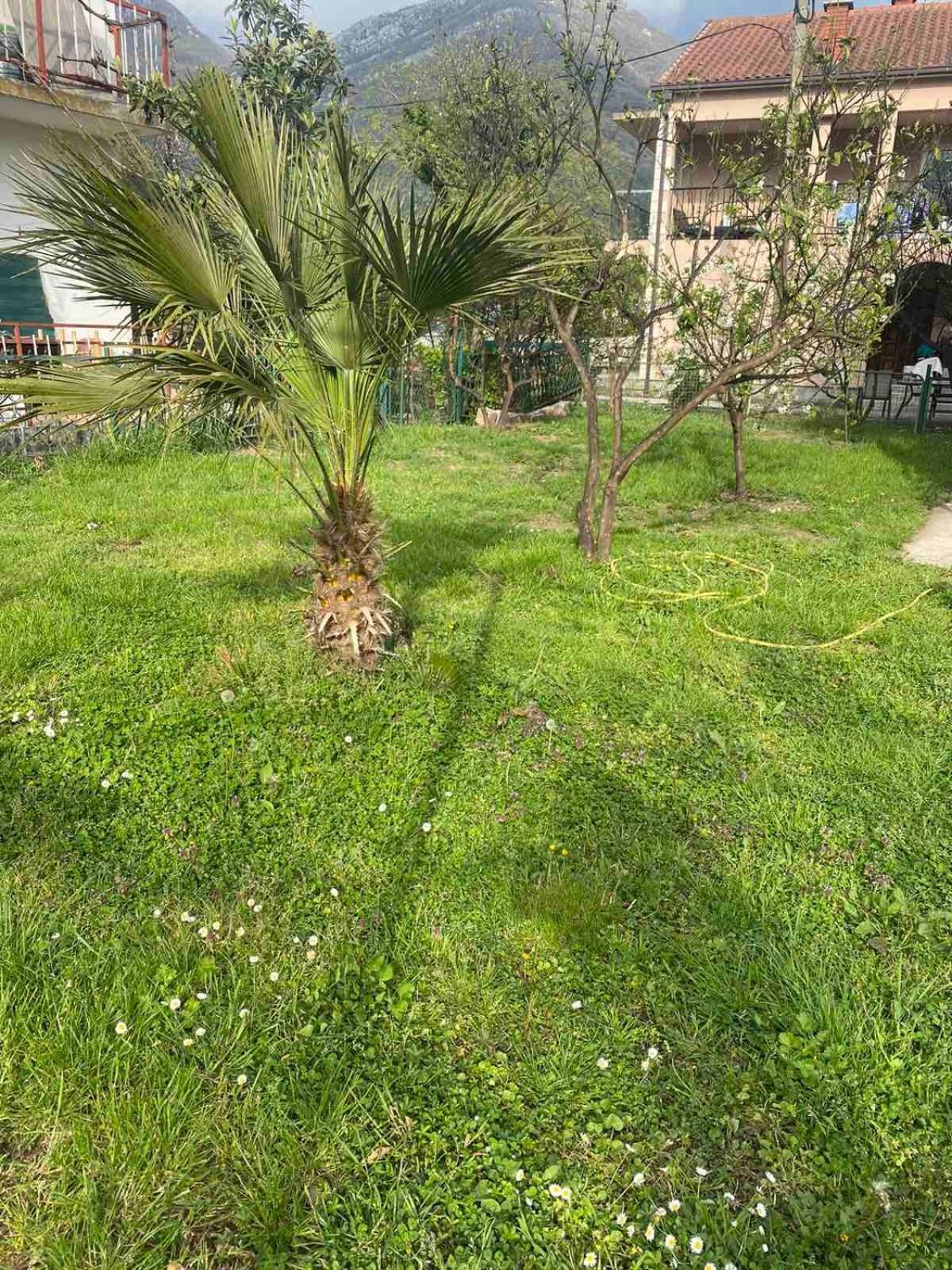 Apartmani Zelenika Herceg Novi Camera foto